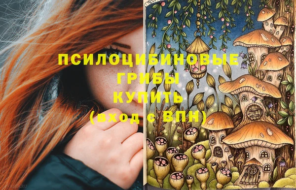ПСИЛОЦИБИНОВЫЕ ГРИБЫ Магадан