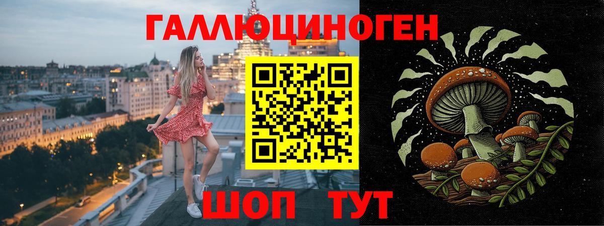 Карасук  Псилоцибиновые грибы Psilocybe  купить наркоту  Вход с VPN 