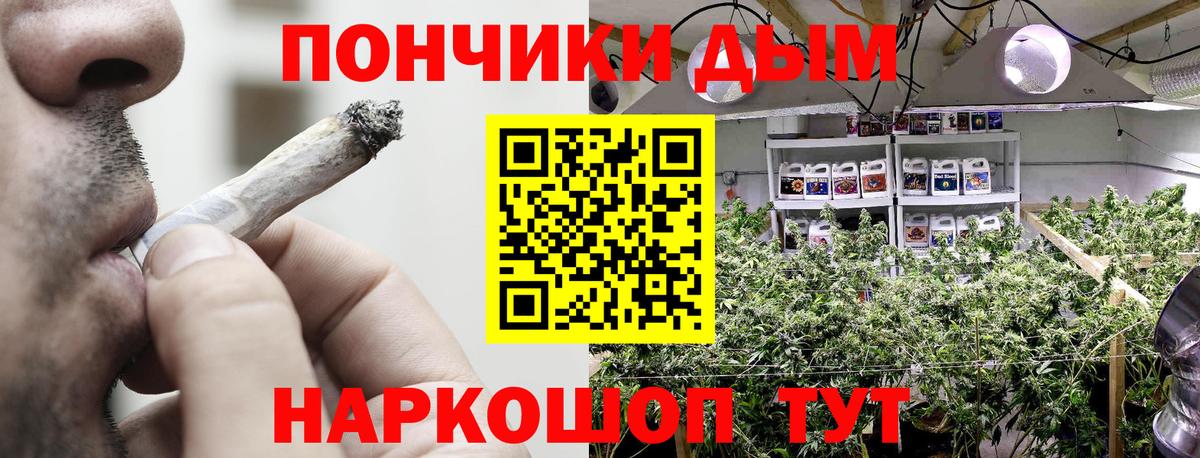 Шишки марихуана Bruce Banner Карасук